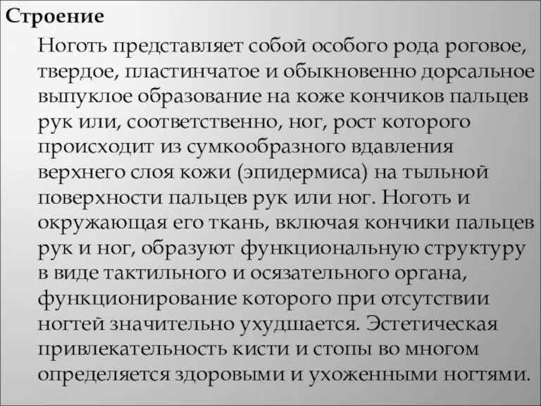 Строение Ноготь представляет собой особого рода роговое, твердое, пластинчатое и