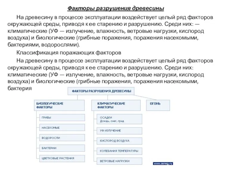 Факторы разрушения древесины На древесину в процессе эксплуатации воздействует целый