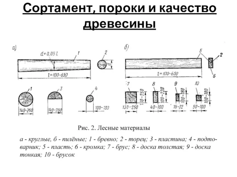 Сортамент, пороки и качество древесины