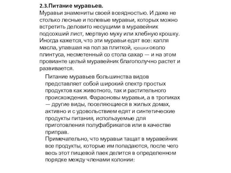 2.3.Питание муравьев. Муравьи знамениты своей всеядностью. И даже не столько