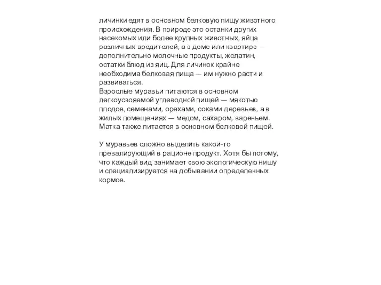 личинки едят в основном белковую пищу животного происхождения. В природе