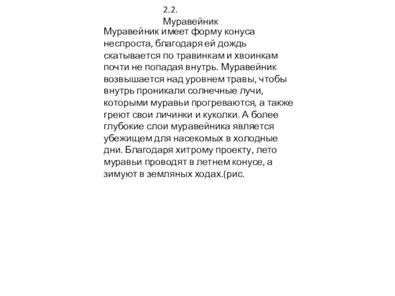 2.2.Муравейник Муравейник имеет форму конуса неспроста, благодаря ей дождь скатывается