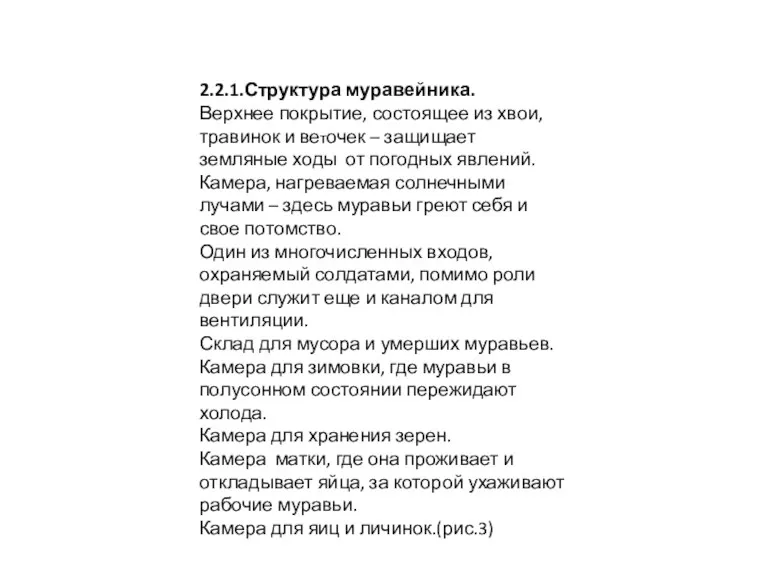 2.2.1.Структура муравейника. Верхнее покрытие, состоящее из хвои, травинок и веточек