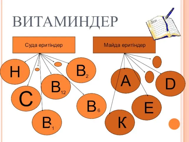 ВИТАМИНДЕР Суда еритіндер Майда еритіндер С А D В В