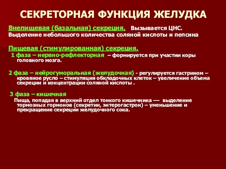 СЕКРЕТОРНАЯ ФУНКЦИЯ ЖЕЛУДКА Внепищевая (базальная) секреция. Вызывается ЦНС. Выделение небольшого