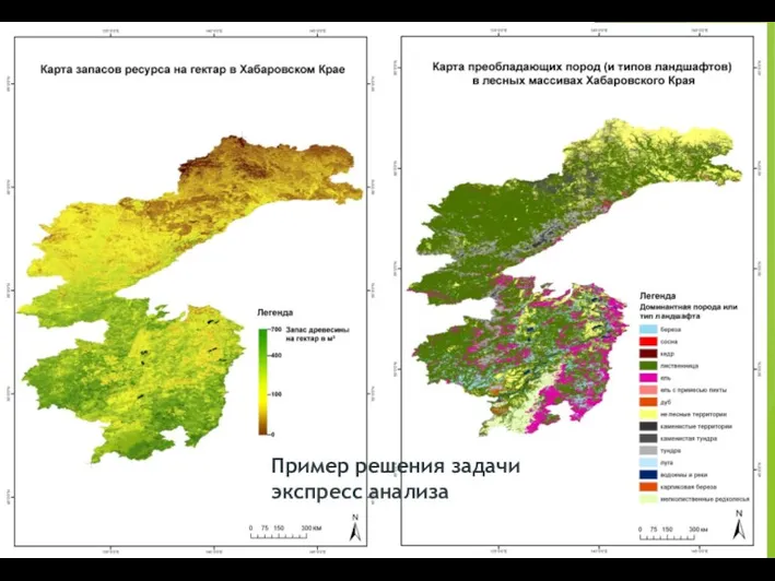 Пример решения задачи экспресс анализа