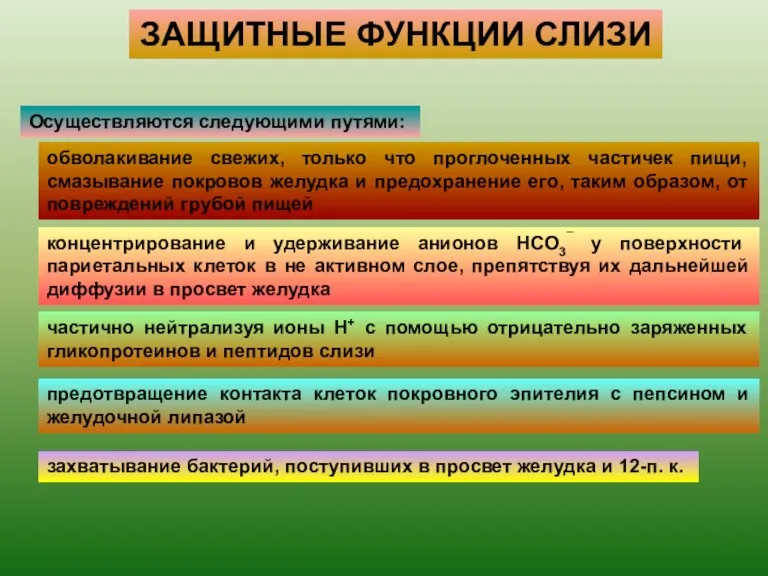 ЗАЩИТНЫЕ ФУНКЦИИ СЛИЗИ Осуществляются следующими путями: концентрирование и удерживание анионов