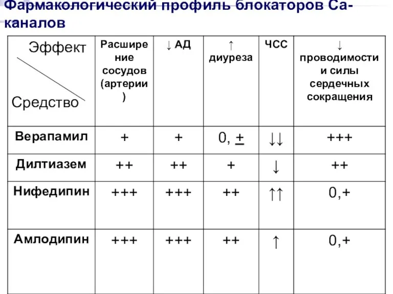 Фармакологический профиль блокаторов Ca-каналов