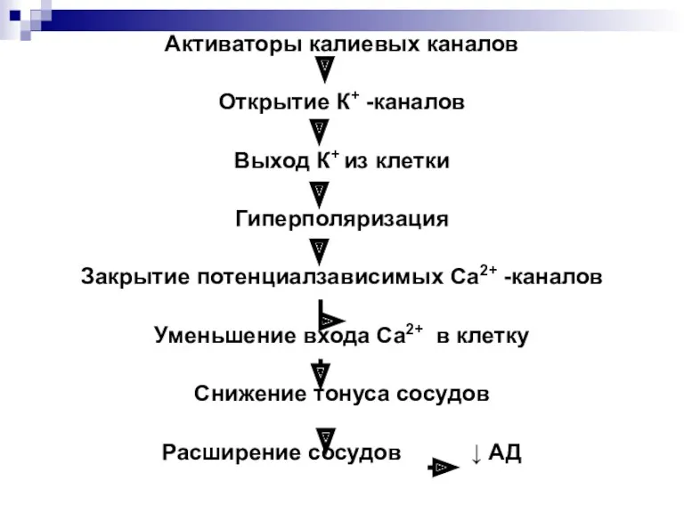 Активаторы калиевых каналов Открытие К+ -каналов Выход К+ из клетки