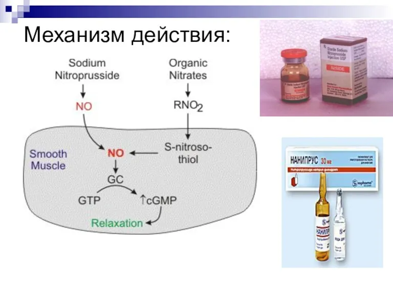 Механизм действия: