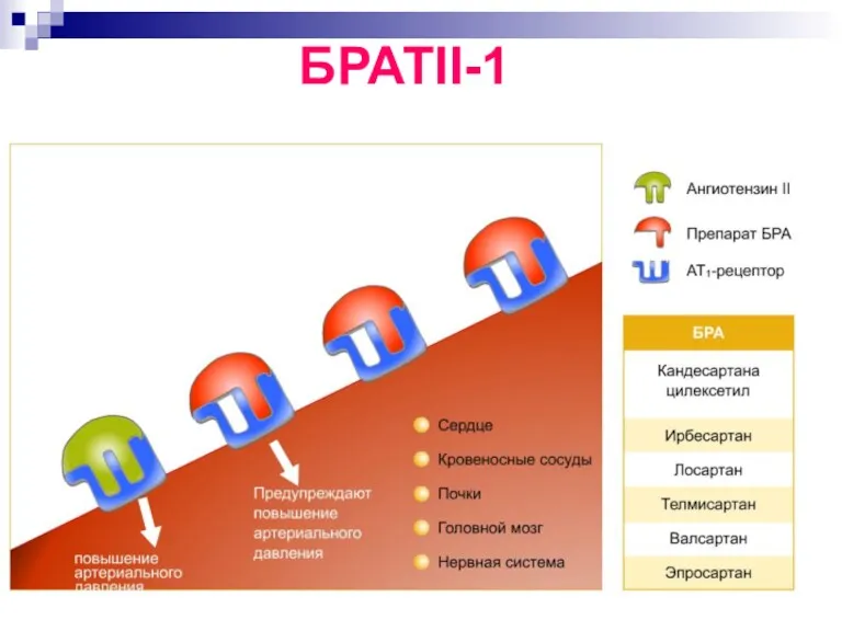 БРАТII-1