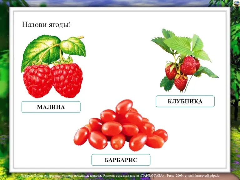 Назови ягоды! МАЛИНА КЛУБНИКА БАРБАРИС