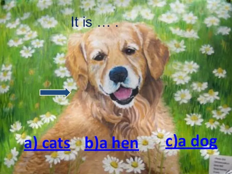 It is … . a) cats b)a hen c)a dog