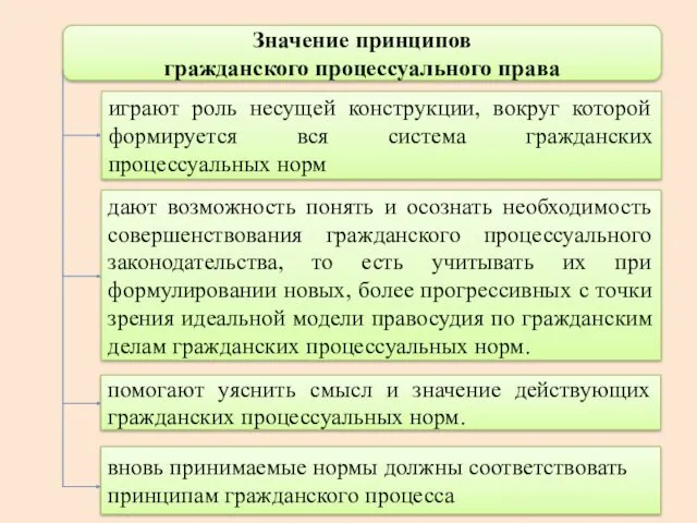 Значение принципов гражданского процессуального права играют роль несущей конструкции, вокруг