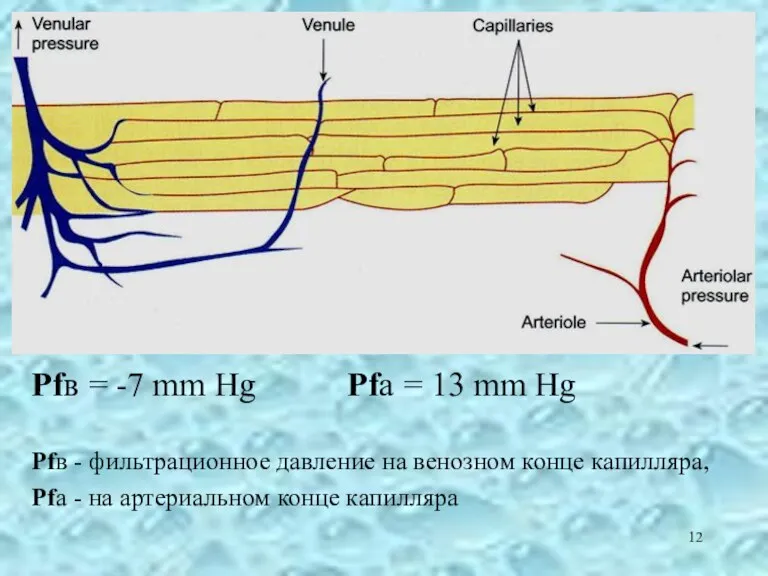 Pfв = -7 mm Hg Pfa = 13 mm Hg