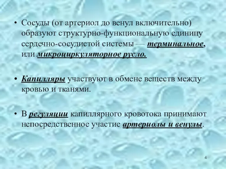 Сосуды (от артериол до венул включительно) образуют структурно-функциональную единицу сердечно-сосудистой