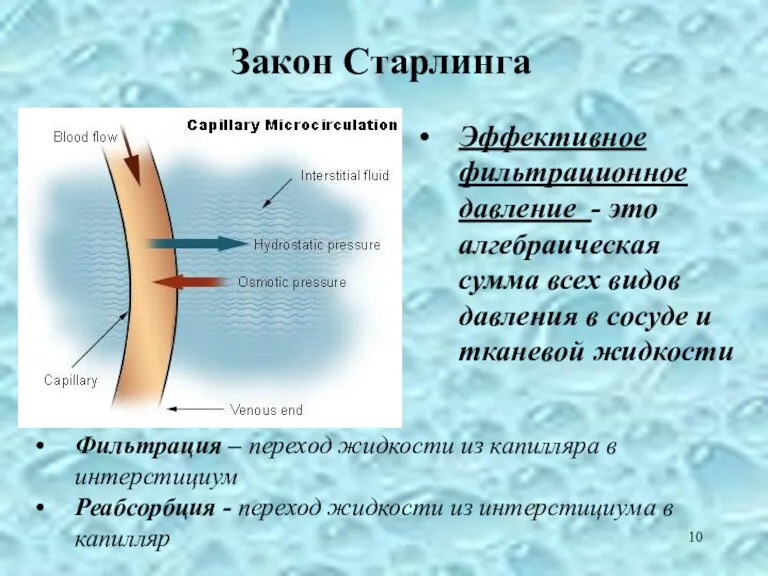 Закон Старлинга Эффективное фильтрационное давление - это алгебраическая сумма всех