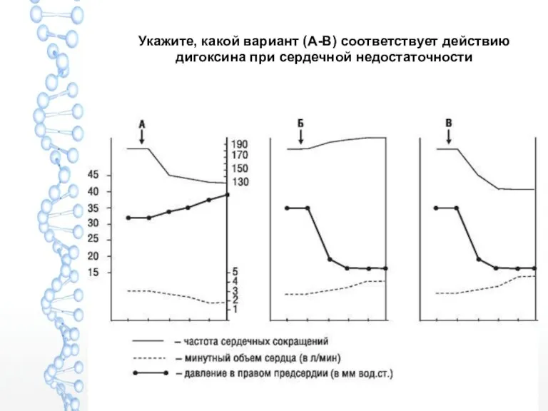 Укажите, какой вариант (А-В) соответствует действию дигоксина при сердечной недостаточности