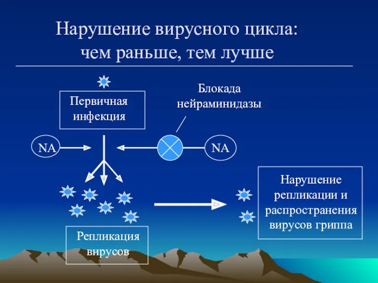 Нарушение вирусного цикла: чем раньше, тем лучше Первичная инфекция Репликация вирусов Блокада нейраминидазы