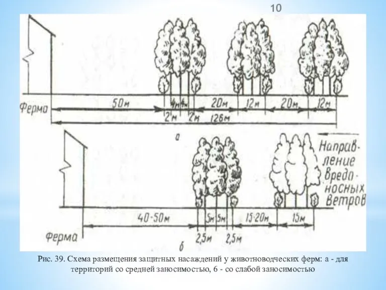 Рис. 39. Схема размещения защитных насаждений у животноводческих ферм: а