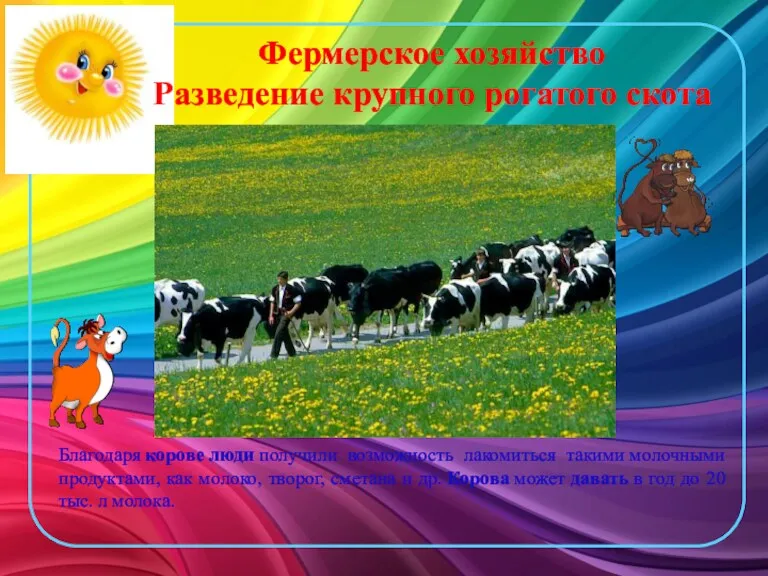 Фермерское хозяйство Разведение крупного рогатого скота Благодаря корове люди получили