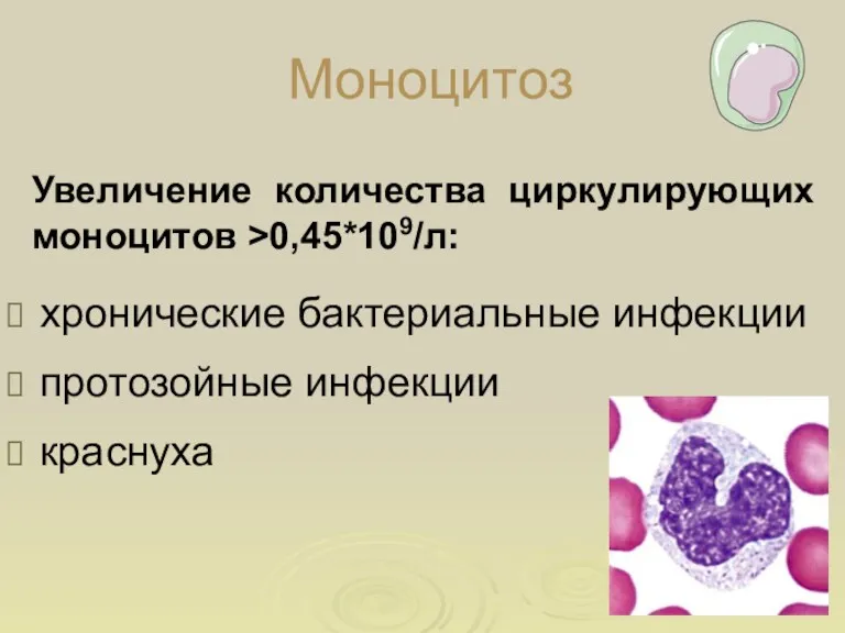 Моноцитоз хронические бактериальные инфекции протозойные инфекции краснуха Увеличение количества циркулирующих моноцитов >0,45*109/л: