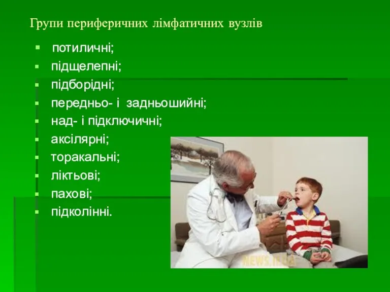 Групи периферичних лімфатичних вузлів потиличні; підщелепні; підборідні; передньо- і задньошийні;