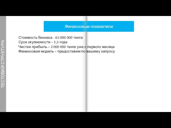 ТЕСТОВАЯ СТРУКТУРА Финансовые показатели 8 Стоимость бизнеса - 65 000