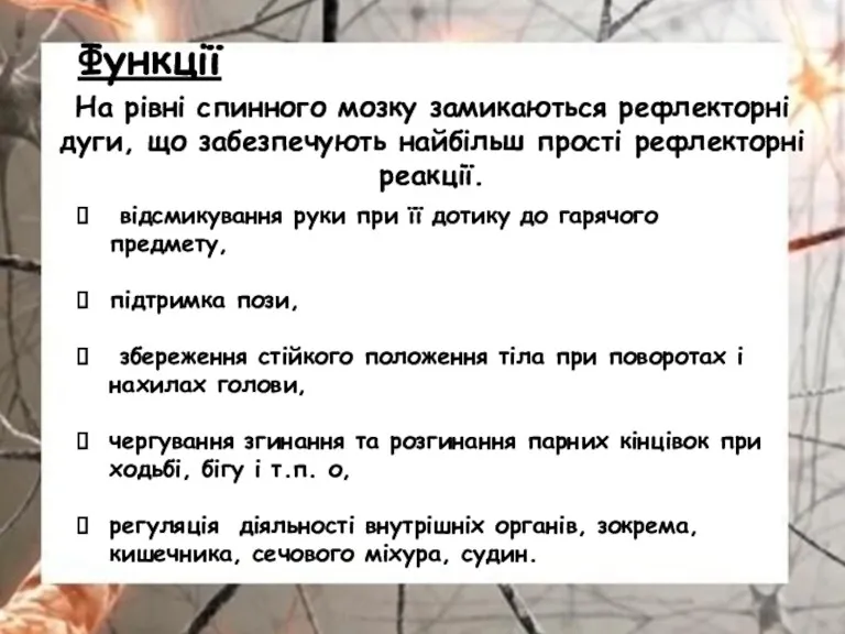 відсмикування руки при її дотику до гарячого предмету, підтримка пози,