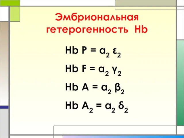 Эмбриональная гетерогенность Нb Нb P = α2 ε2 Hb F = α2 γ2