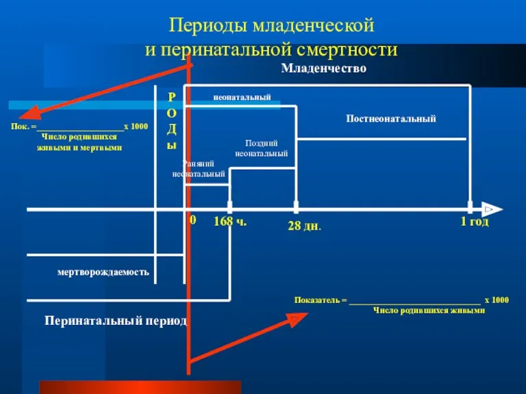 Р О Д ы 168 ч. 28 дн. 1 год