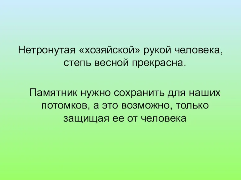 Нетронутая «хозяйской» рукой человека, степь весной прекрасна. Памятник нужно сохранить