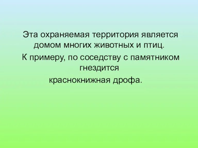 Эта охраняемая территория является домом многих животных и птиц. К