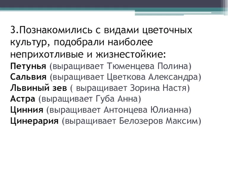 3.Познакомились с видами цветочных культур, подобрали наиболее неприхотливые и жизнестойкие: Петунья (выращивает Тюменцева