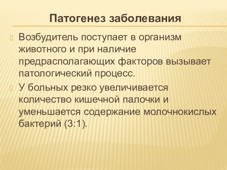 Патогенез заболевания Возбудитель поступает в организм животного и при наличие