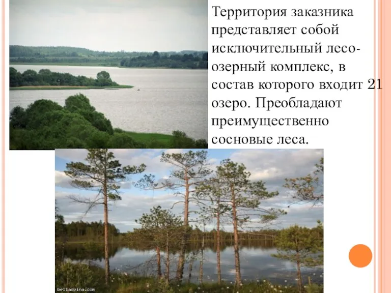 Территория заказника представляет собой исключительный лесо-озерный комплекс, в состав которого