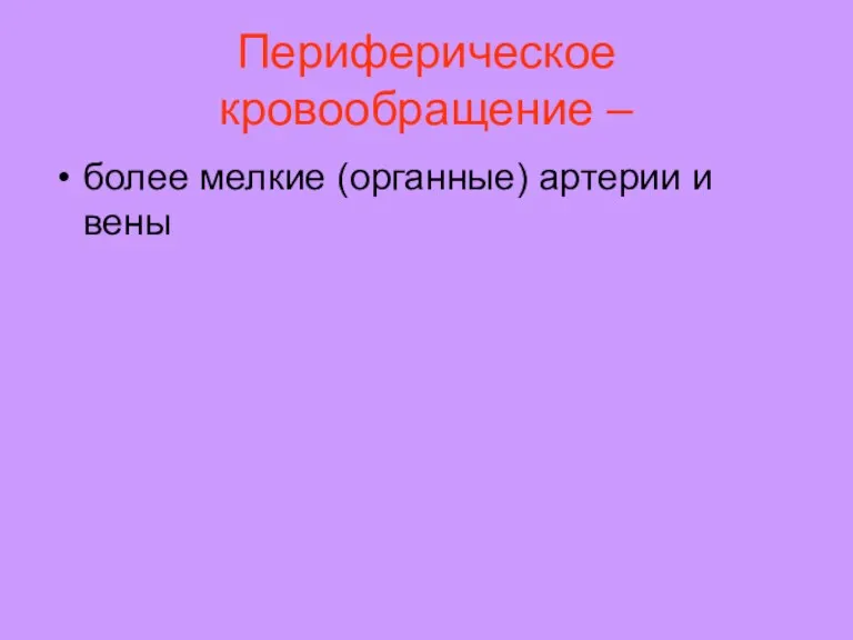 Периферическое кровообращение – более мелкие (органные) артерии и вены