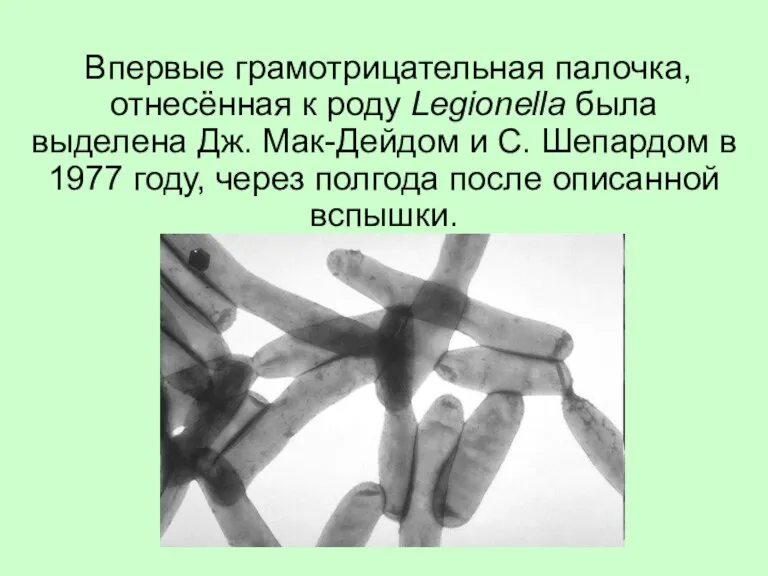 Впервые грамотрицательная палочка, отнесённая к роду Legionella была выделена Дж.