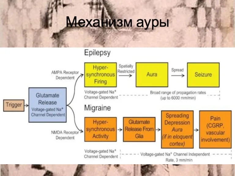 Механизм ауры