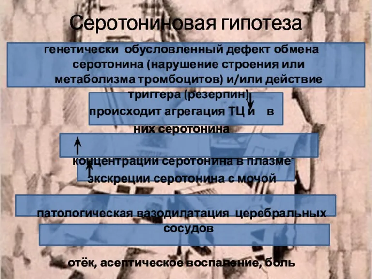 Серотониновая гипотеза генетически обусловленный дефект обмена серотонина (нарушение строения или