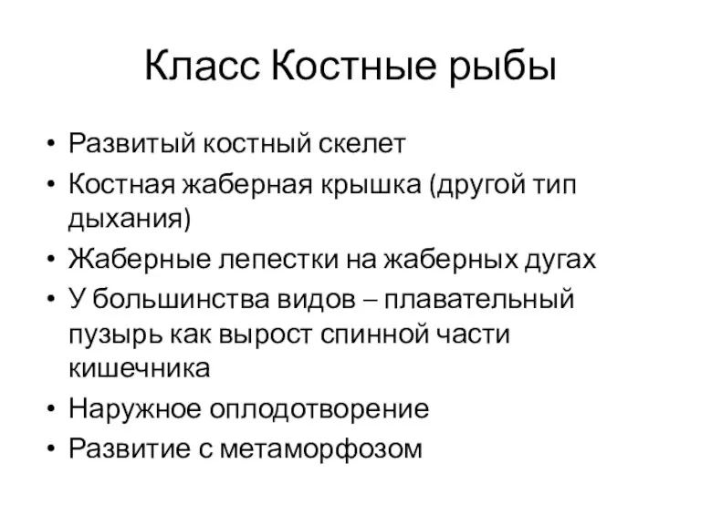 Класс Костные рыбы Развитый костный скелет Костная жаберная крышка (другой