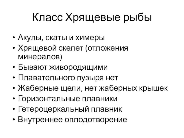 Класс Хрящевые рыбы Акулы, скаты и химеры Хрящевой скелет (отложения