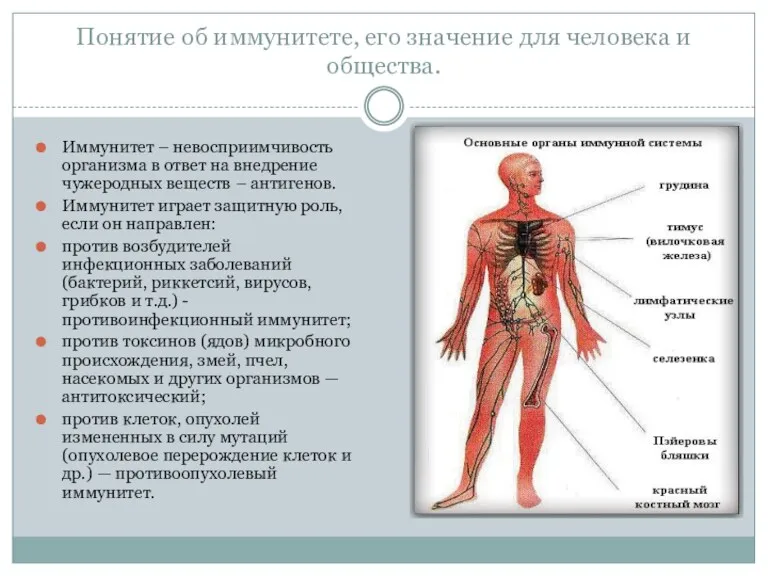 Понятие об иммунитете, его значение для человека и общества. Иммунитет