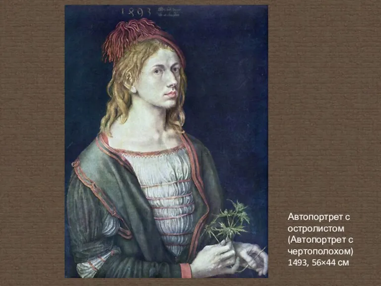 Автопортрет с остролистом (Автопортрет с чертополохом) 1493, 56×44 см
