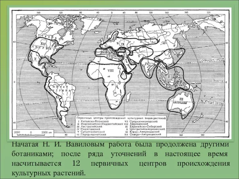 Начатая Н. И. Вавиловым работа была продолжена другими ботаниками; после