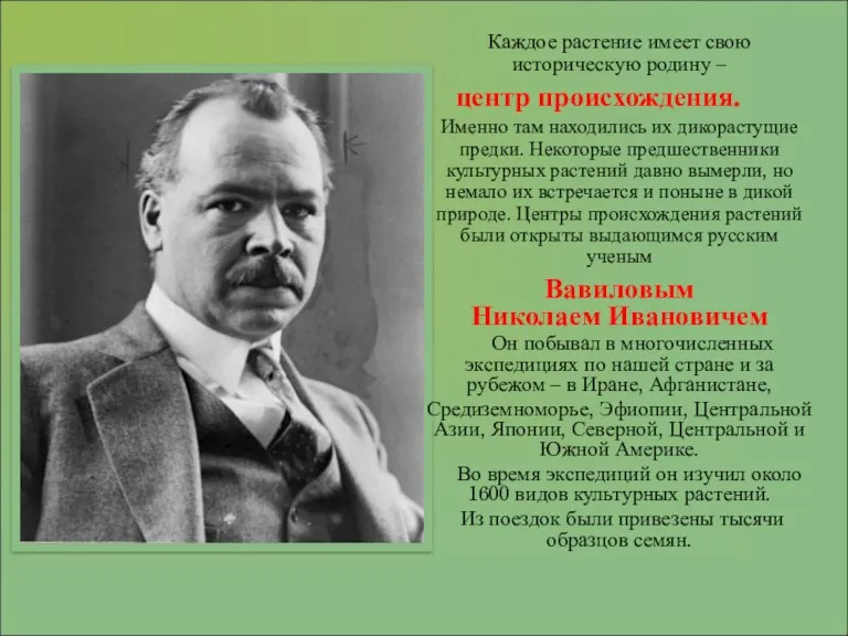 Каждое растение имеет свою историческую родину – центр происхождения. Именно