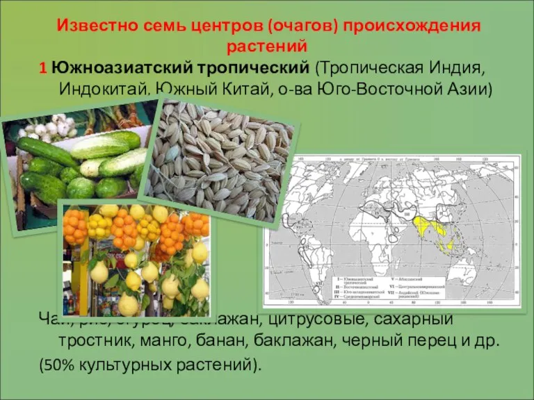 Известно семь центров (очагов) происхождения растений 1 Южноазиатский тропический (Тропическая