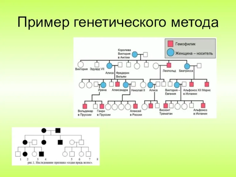 Пример генетического метода