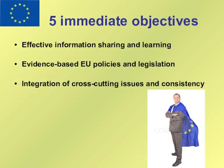 5 immediate objectives Effective information sharing and learning Evidence-based EU