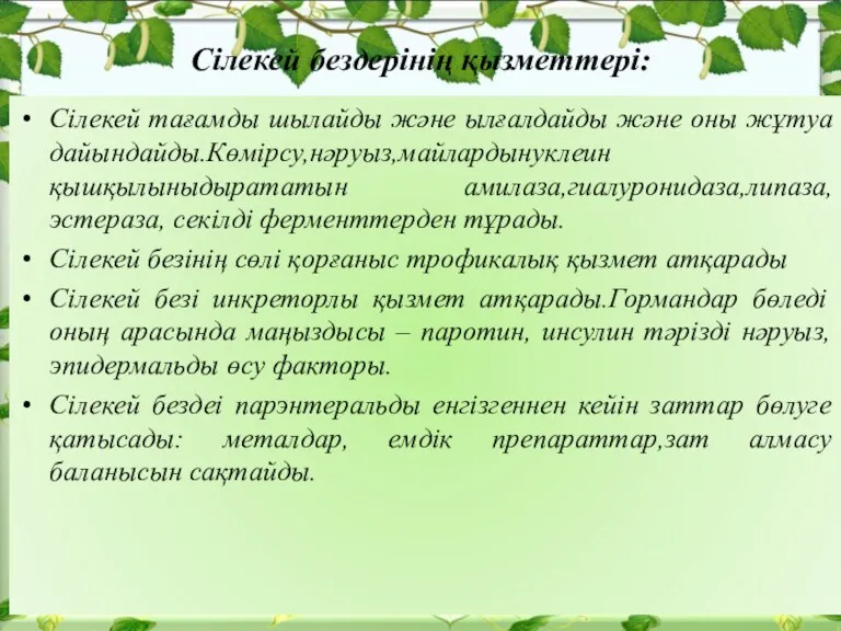 Сілекей бездерінің қызметтері: Сілекей тағамды шылайды және ылғалдайды және оны